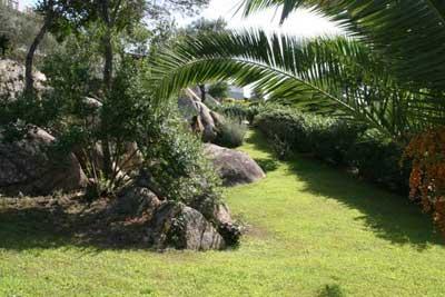  6-     , 