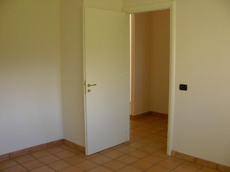 DM-3