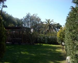 TE-07010993